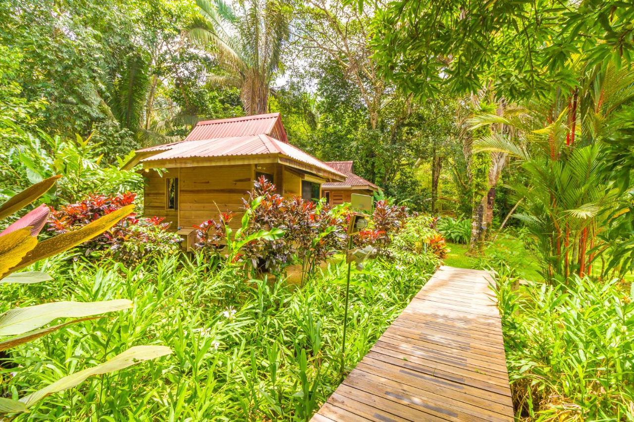 Hotel El Mono Feliz Охочаль Экстерьер фото